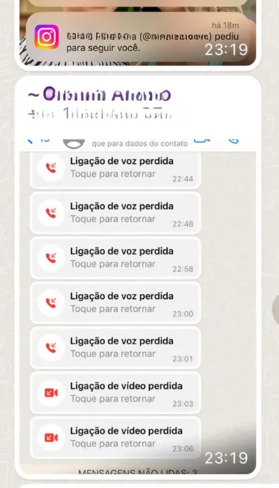 Print de conversa de aluna